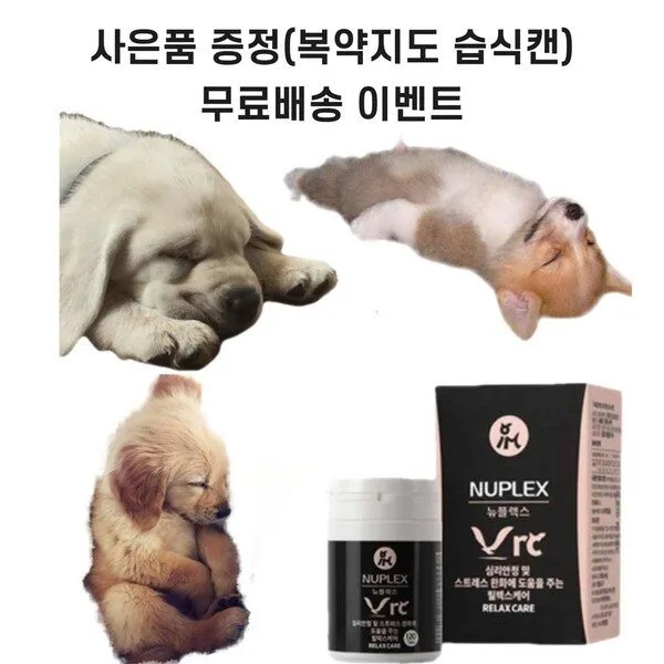  강아지 수면제 진정제 스트레스 치매약 항산화제, 1개 