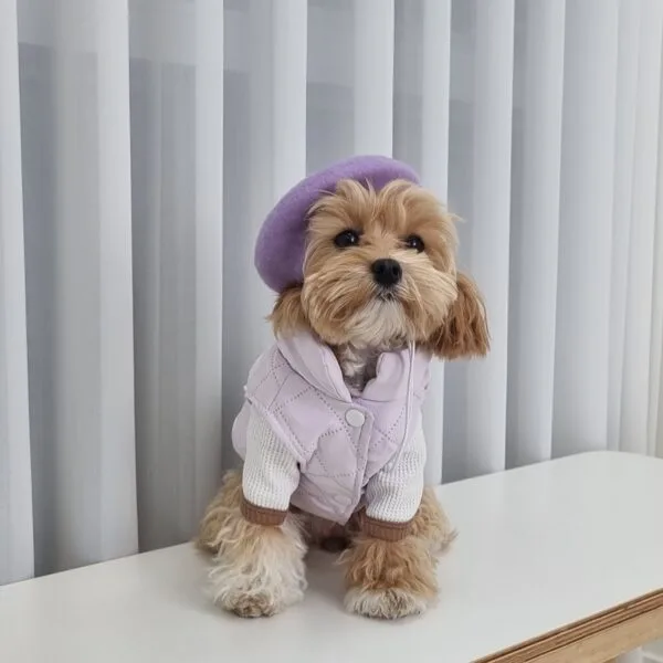 난펫 강아지 파스텔 패딩 조끼, 파스텔 퍼플