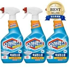 화장실청소 HOT 10