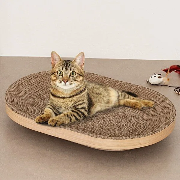 인기 꿀템 스크레쳐 추천 6