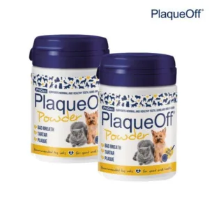 대박난 꿀템 플라그오프 BEST 6