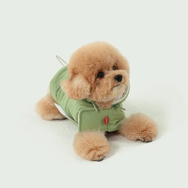 강아지발열패딩 초대박할인