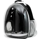 고양이가방 인기 꿀템