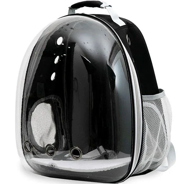 고양이가방 인기 꿀템