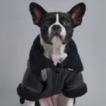 강아지무스탕 최저가세일