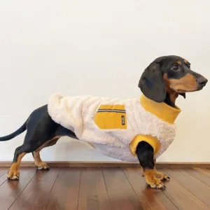 가성비 좋은 닥스훈트옷 추천 6