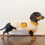 닥스훈트옷 핫딜