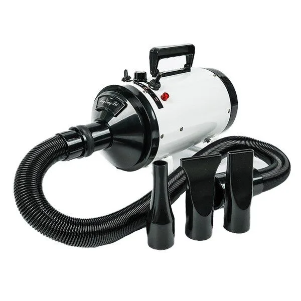 애견드라이기 대박난 제품