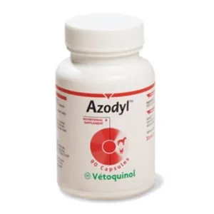 아조딜 소문난 제품