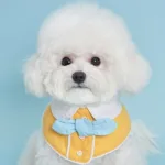 나만없어! 꿀템 강아지케이프  10