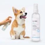 강아지미스트 특가아이템