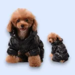 완전대박특가 애견패딩 BEST 10