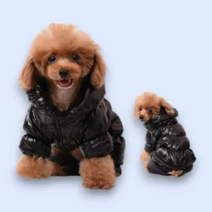 완전대박특가 애견패딩 BEST 10