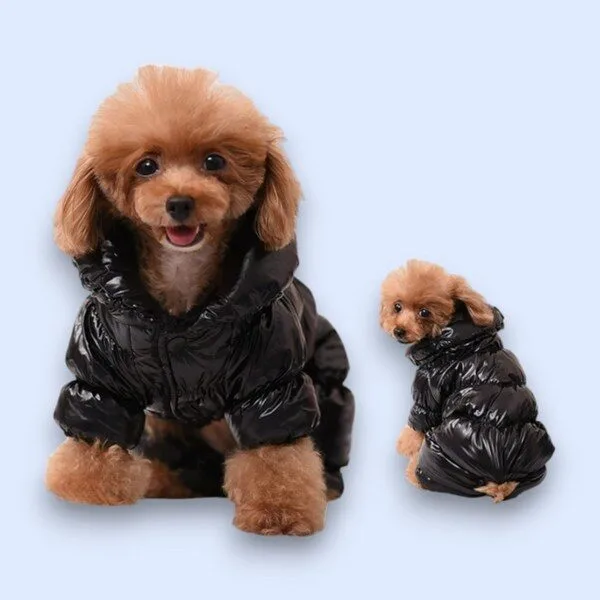 완전대박특가 애견패딩 BEST 10