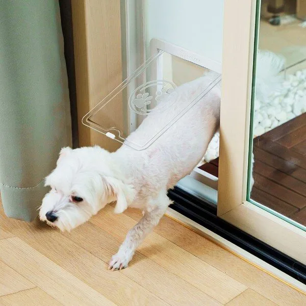 고양이문 추천후기상품