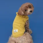 역대급할인 강아지티셔츠 HOT 10