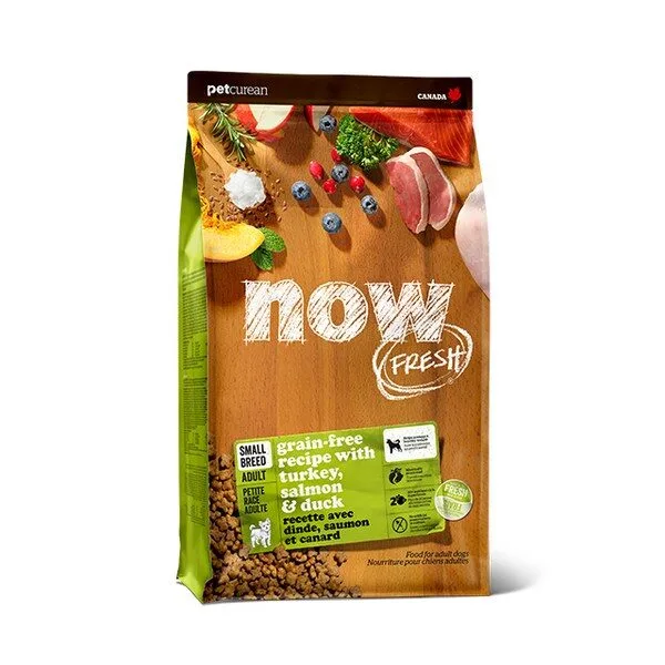 나우어덜트 믿고쓰는 꿀템