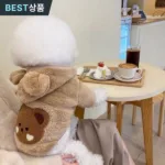 인기짱 상품 강아지겨울옷 추천 10