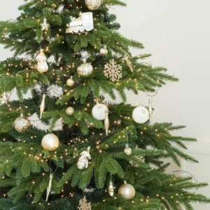 트리오너먼트 완전대박 꿀템