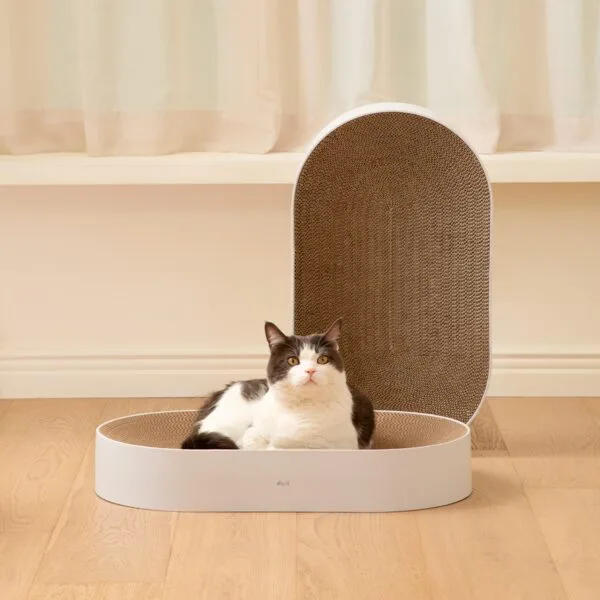 스크레쳐 대박할인