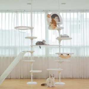 그린웨일캣타워 가성비특가