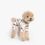 byc강아지 할인 제품