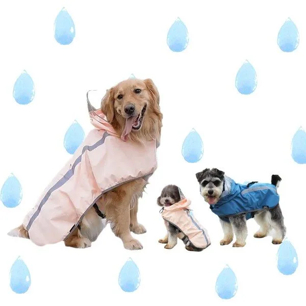 알파아이콘 역대급할인 1 브라운 강아지 우비 레인코트, 블루