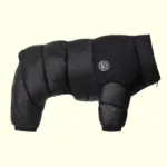 강아지발열패딩 특가k