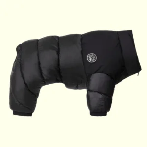 강아지발열패딩 특가k