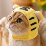 오늘 강아지군밤모자 제품 TOP 10