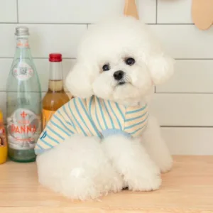 강아지티셔츠 대박세일