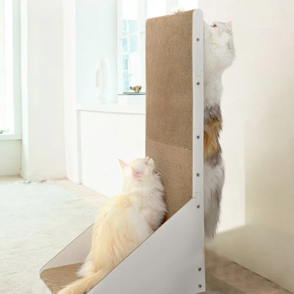 스크레쳐 인기짱 제품