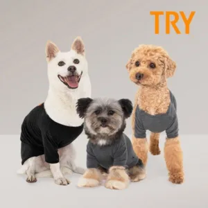 byc강아지 인기상품