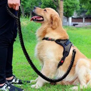 대형견목줄 초대박상품