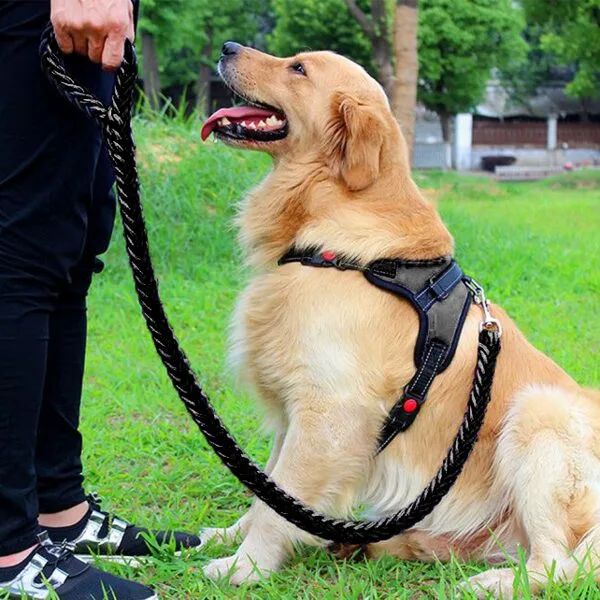 견생견사 소중대형견 하네스 + 리드줄 세트, 블랙(세트)