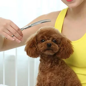 인기짱 상품 애견가위  10