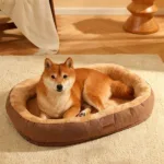 핫딜정보~ 강아지마약방석 BEST 10