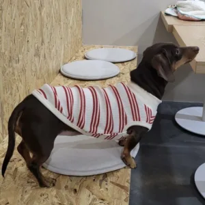 오늘의 핫딜가격 닥스훈트옷 추천 랭킹 10