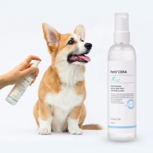 강아지미스트 초대박상품