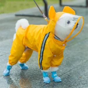 강아지우비 핫한