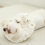 특가 제품 고양이넥카라 TOP 10