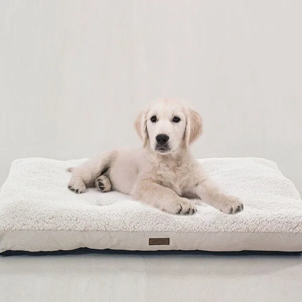 가성비 꿀템 대형견방석 HOT 10