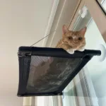 특가상품 고양이해먹  10