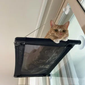 고양이해먹 착한가격 맞나요?