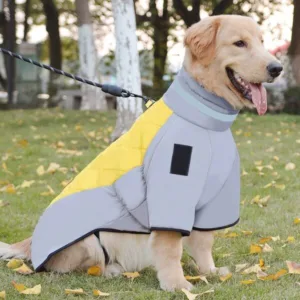 핫딜 대형견겨울옷 HOT 10