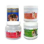 테라코트 세일정보