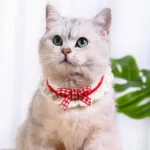 강아지크리스마스케이프 특별할인 제품