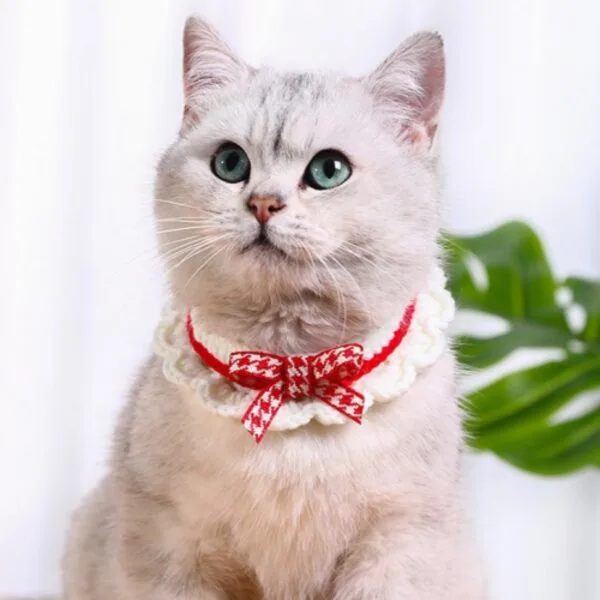 강아지크리스마스케이프 특별할인 제품