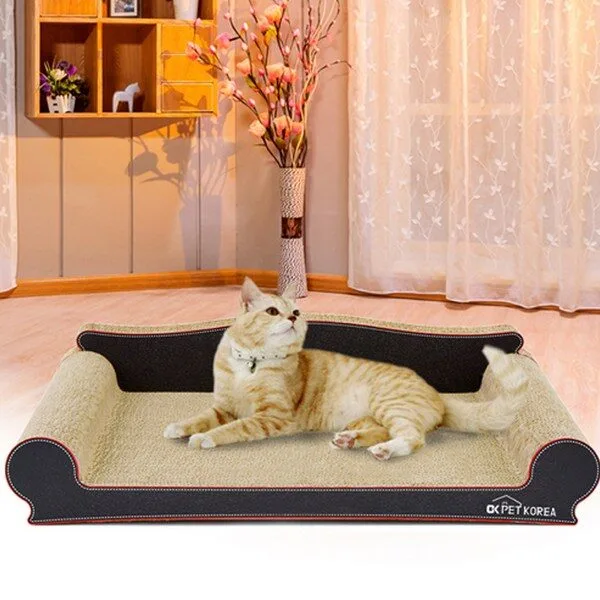 고양이스크래처 특_가