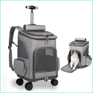 역대급상품 고양이이동가방 BEST 10